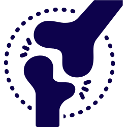 Bone & Joint Support