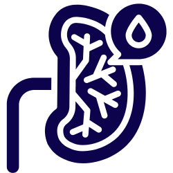 Diabetes & Kidney Support