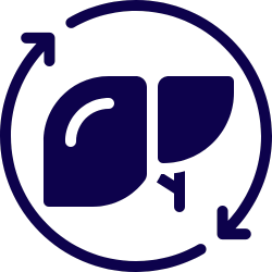 Digestive & Liver Support